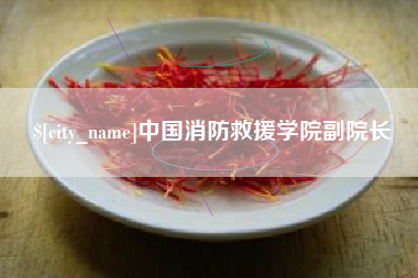 吉安中国消防救援学院副院长