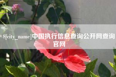 吉安中国执行信息查询公开网查询官网