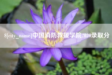 吉安中国消防救援学院2020录取分