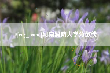 吉安河南消防大学分数线