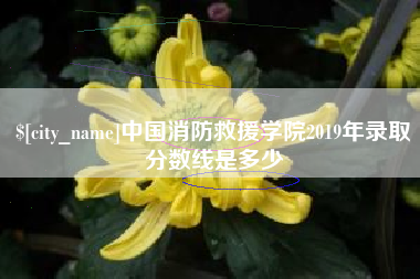 吉安中国消防救援学院2019年录取分数线是多少
