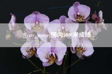 吉安国内5000米成绩