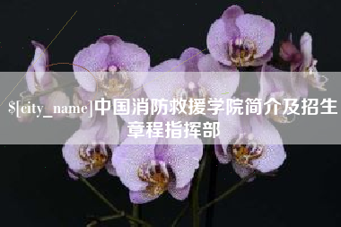 吉安中国消防救援学院简介及招生章程指挥部