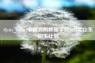 吉安中国消防救援学院2021年山东招生计划