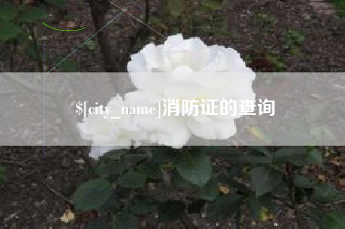 吉安消防证的查询