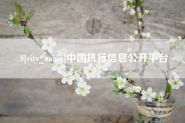 吉安中国执行信息公开平台
