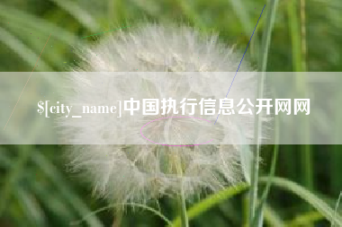 吉安中国执行信息公开网网