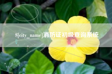 吉安消防证初级查询系统