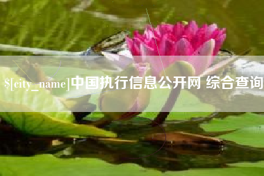 吉安中国执行信息公开网 综合查询