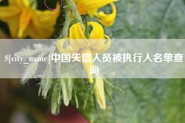 吉安中国失信人员被执行人名单查询