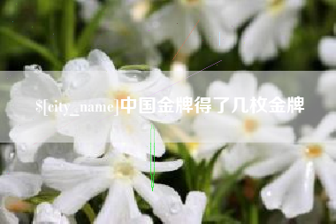 吉安中国金牌得了几枚金牌