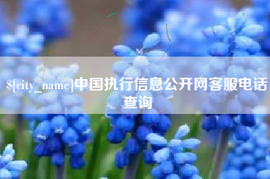 吉安中国执行信息公开网客服电话查询