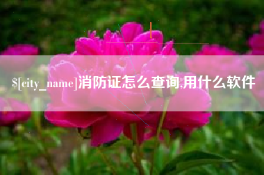 吉安消防证怎么查询,用什么软件