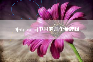 吉安中国的几个金牌啊