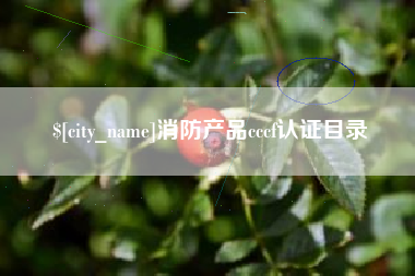 吉安消防产品cccf认证目录