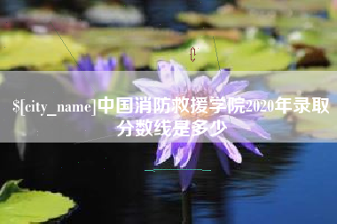 吉安中国消防救援学院2020年录取分数线是多少