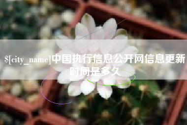 吉安中国执行信息公开网信息更新时间是多久