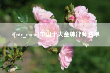 吉安中国十大金牌律师名单