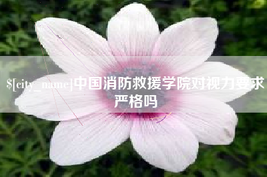 吉安中国消防救援学院对视力要求严格吗