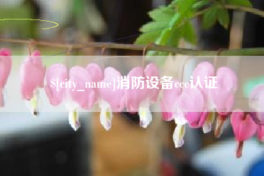 吉安消防设备ccc认证