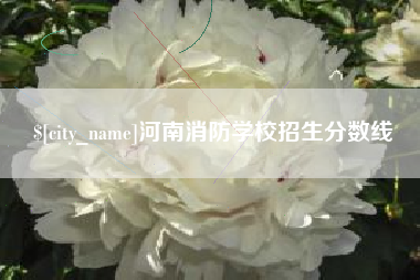 吉安河南消防学校招生分数线