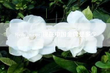 吉安现在中国金牌是多少