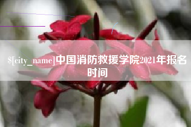 吉安中国消防救援学院2021年报名时间