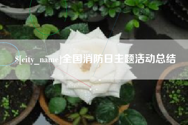 吉安全国消防日主题活动总结