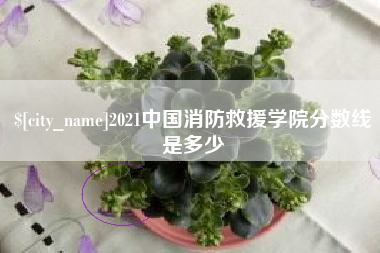 吉安2021中国消防救援学院分数线是多少