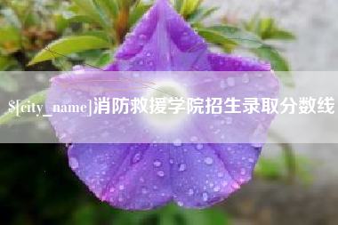 吉安消防救援学院招生录取分数线