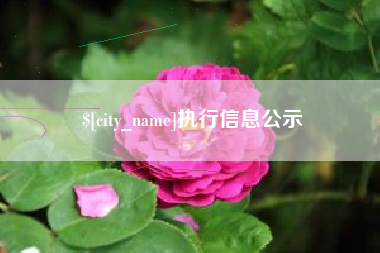 吉安执行信息公示