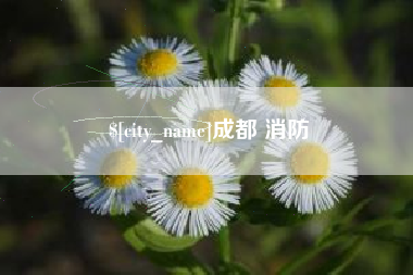 吉安成都 消防