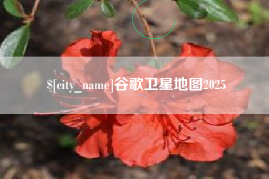 吉安谷歌卫星地图2025