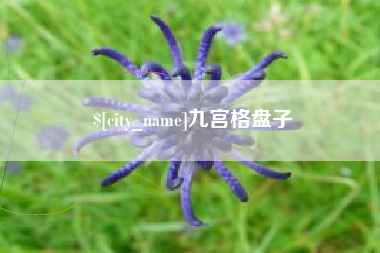 吉安九宫格盘子
