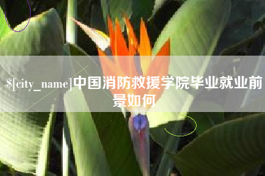 吉安中国消防救援学院毕业就业前景如何