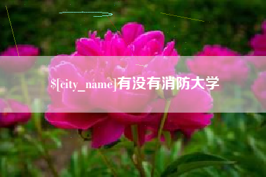 吉安有没有消防大学