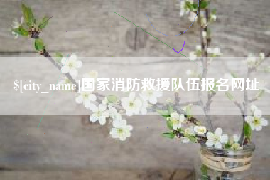 吉安国家消防救援队伍报名网址