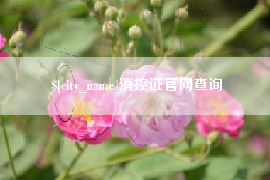 吉安消控证官网查询