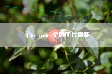 吉安金牌图片真实
