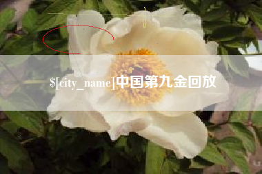 吉安中国第九金回放