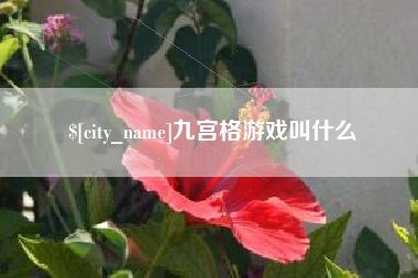 吉安九宫格游戏叫什么