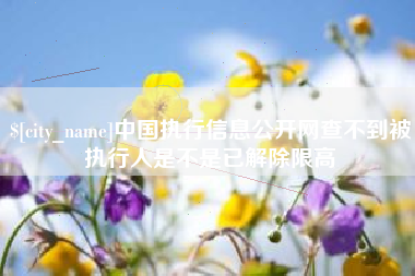 吉安中国执行信息公开网查不到被执行人是不是已解除限高