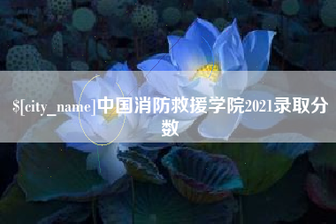 吉安中国消防救援学院2021录取分数