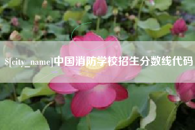 吉安中国消防学校招生分数线代码