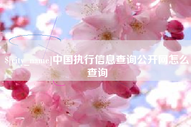 吉安中国执行信息查询公开网怎么查询