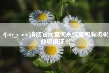 吉安消防官网查询系统查询消防职业资格证书