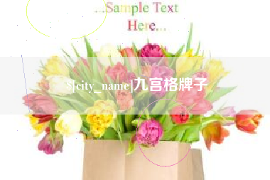 吉安九宫格牌子
