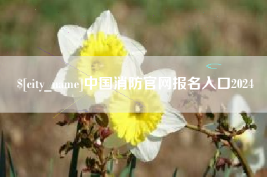 吉安中国消防官网报名入口2024