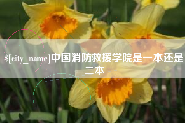 吉安中国消防救援学院是一本还是二本
