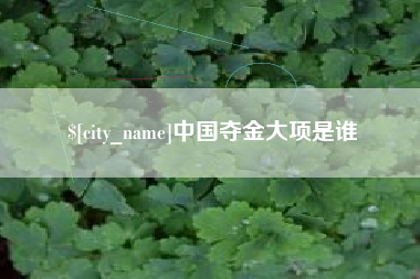 吉安中国夺金大项是谁